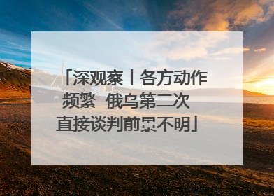 深观察丨各方动作频繁  俄乌第二次直接谈判前景不明